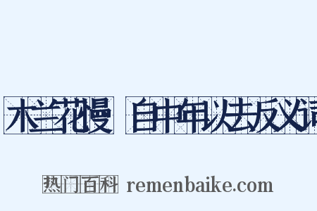 木兰花慢·自中年以去反义词是什么意思的图片